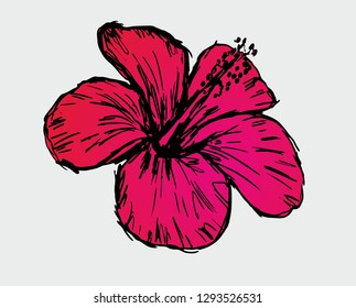 hibiscus flower graphic design vector art