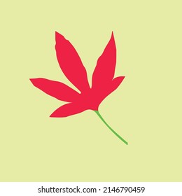 hibiscus flower with green stem