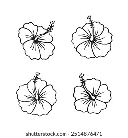 Ilustração desenhada à mão de flor de Hibiscus.