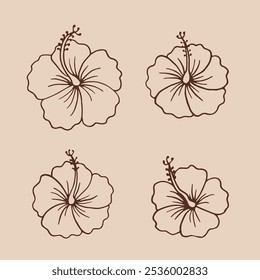 Hibiscus flower hand drawn illustration.
