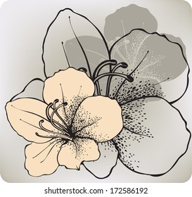 Hibiscus flower, hand-drawing. Vector illustration.