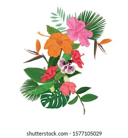 Hibiscus flower, heaven bird and orchid bouquet frame. Botanical design element vector