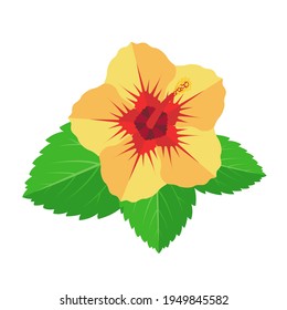 Hibiscus Ayurveda Images, Stock Photos u0026 Vectors  Shutterstock