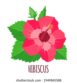 Hibiscus Ayurveda Images, Stock Photos u0026 Vectors  Shutterstock