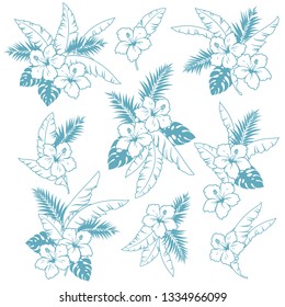 Hibiscus flower illustration,