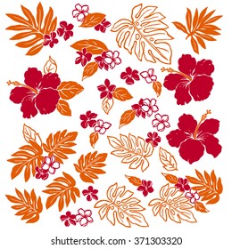 Hibiscus flower illustration