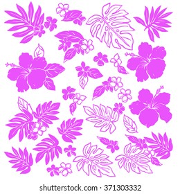 Hibiscus flower illustration