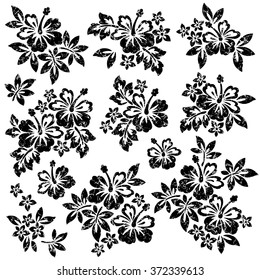 Hibiscus flower illustration