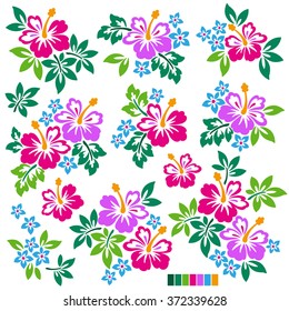 Hibiscus flower illustration
