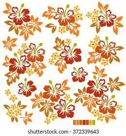 Hibiscus flower illustration