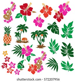 Hibiscus flower illustration