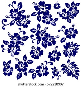 Hibiscus flower illustration