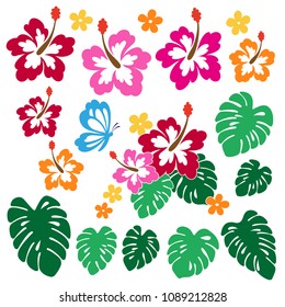 Hibiscus flower illustration,
I drew Hibiscus for designing it,
