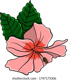 Hibiscus flower , illustration, vector on white background