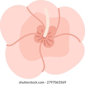 Hibiscus flower with large overlapping petal, stamen and pistil in closeup, soft rounded shapes and clean contour. Symbol of tropical beauty, serenity, spa, and elegance. Cartoon vector illustration.