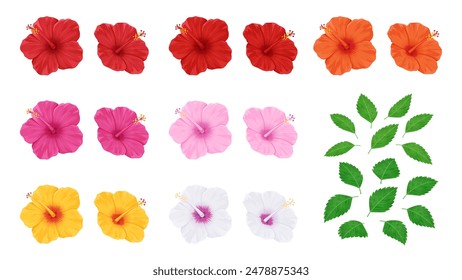 Hibiscus flower and leaf illustration material set