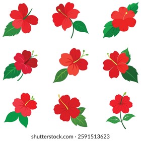 A Hibiscus flower with leaf on a white background