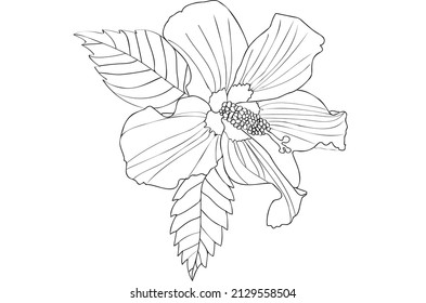 Hibiscus flower with leaves, painted black and white, designed for postcard and other ․