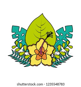 hibiscus flower leaves palm arrangement tropical