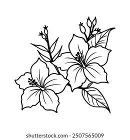 Hibiscus flower line art vektor design