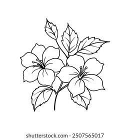 Hibiscus flower line art vector design