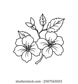 Hibiscus flower line art vector design