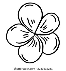 Hibiscus flower in line drawing style. Minimalist black line sketch isolated on white background. Vector illustration