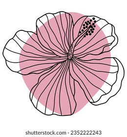 Hibiscus flower line with shape. Vector illustration with flower theme. Suitable for wedding invitation, aesthetic decoration, social media post, banner, promotion, advertising, etc.