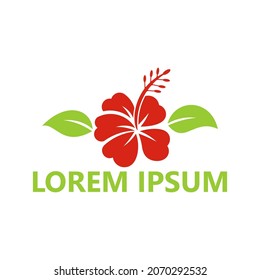 Hibiscus flower logo template design