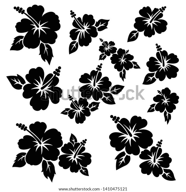 Hibiscus Flower Material Vector Illustration Stock Vector (royalty Free 