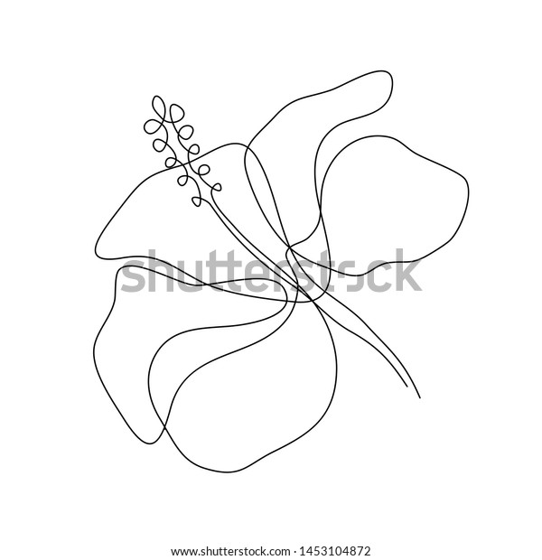 Hibiscus Flower One Line Art Drawing Stock Vector (Royalty Free ...