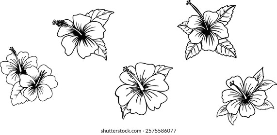 Hibiscus Flower Outline Black and White Floral Vector.