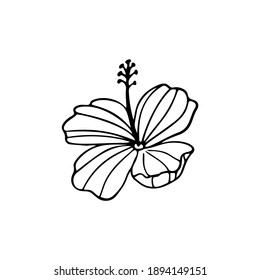 Black White Floral Sketch Images, Stock Photos & Vectors | Shutterstock