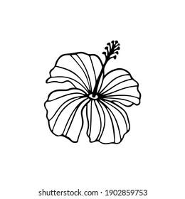 Hibiscus flower outline. Hibiscus line art vector illustration isolated on white background. Tropical flower silhouette icon, blossom doodle and simple element. Exotic tropical plant symbol.