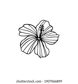 Hibiscus flower outline. Hibiscus line art vector illustration isolated on white background. Tropical flower silhouette icon, blossom doodle and simple element. Exotic tropical plant symbol.