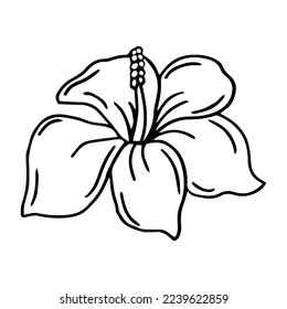 Hibiscus flower outline  Hibiscus line art vector illustration isolated white background  Tropical flower silhouette icon  blossom doodle   simple element  Exotic tropical plant symbol 