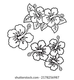 Hibiskus-Blumenumriss, Hawaiianische Hibiskusblume, Vektorgrafik Schwarz-Weiß-Illustration, handgezeichnete Hibiskusblumen