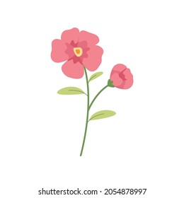 hibiscus flower printable decor vector illustration design eps.10