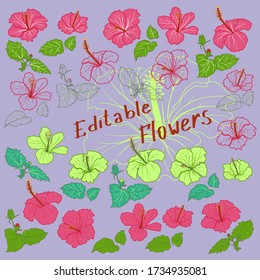 Hibiscus flower set. Karkade, carcade, rose. Tropical flowers, leaves and bud. Outline, colorful, editable strokes. Hand drawn isolated illustration. Summer hawaiian hibiscus, vector design elements