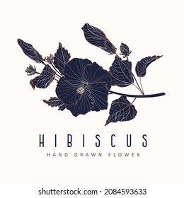 Hibiscus  Flower Signs or Logo Templates. Retro Floral Golden Illustration with Classy Typography. Feminine Logo. Modern Logo Template for florist, photographer, fashion blogger, design studio.