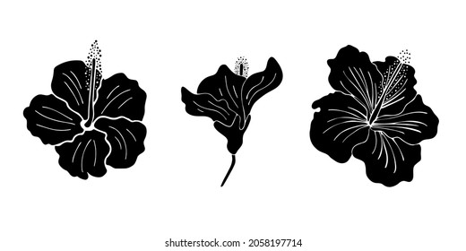 302 Flower Isoalted On White Background Images, Stock Photos & Vectors ...