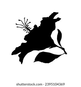 Silhouette de flores de Hibiscus.Elemento botánico decorativo.Gráficos vectoriales.