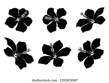 Hibiscus flower silhouettes vector