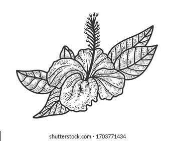 Hibiscus flower sketch engraving vector illustration. T-shirt apparel print design. Scratch board imitation. Black and white hand drawn image.