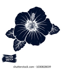 Hibiscus flower sketch. Tropical plant doodle. Floral scrawl. Scribble vector. Jungle nature. Hand drawn effect petal illustration. Highly detailed hibiscus blossom and leaves drawing.