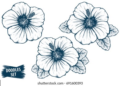 Hibiscus flower sketch. Tropical plant doodle. Floral scrawl. Scribble vector. Jungle nature. Hibiscus plant. Hand drawn effect petal illustration. Highly detailed hibiscus blossom and leaves drawing.