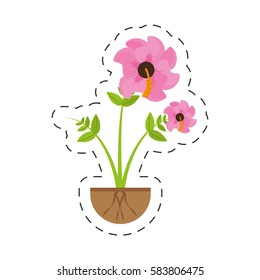 hibiscus flower spring growing vector illustration eps 10