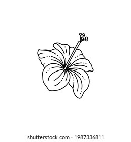 Hibiscus Flower in a Trendy Minimalist Liner Style. Vector Tropical Flower Illustration for printing on t-shirt, Web Design, beauty Salons, Posters, creating a logo and other