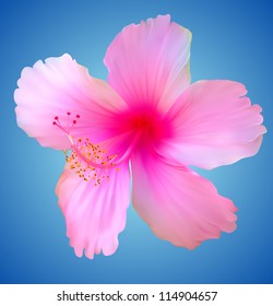 Hibiscus flower, tropical nature vector