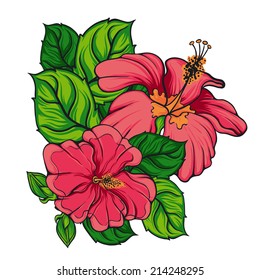 Hibiscus flower. Vector.